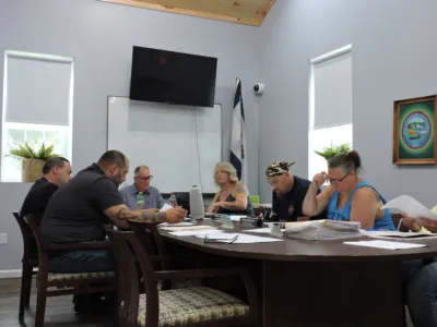 New Cumberland Council addressing tree concerns
